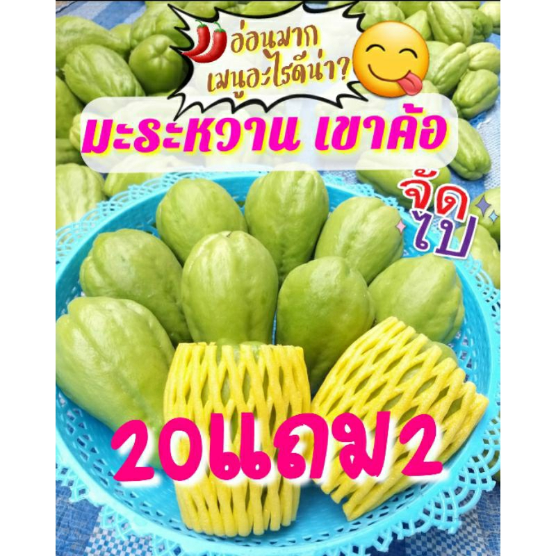 🥬มะระหวาน,ฟักแม้ว ลูกสวยๆ💥จัดโปร 20แถม2💥สดใหม่ทุกวัน ส่งตรงจากเจ้าของสวนเอง(ห่อโฟมทุกลูก)