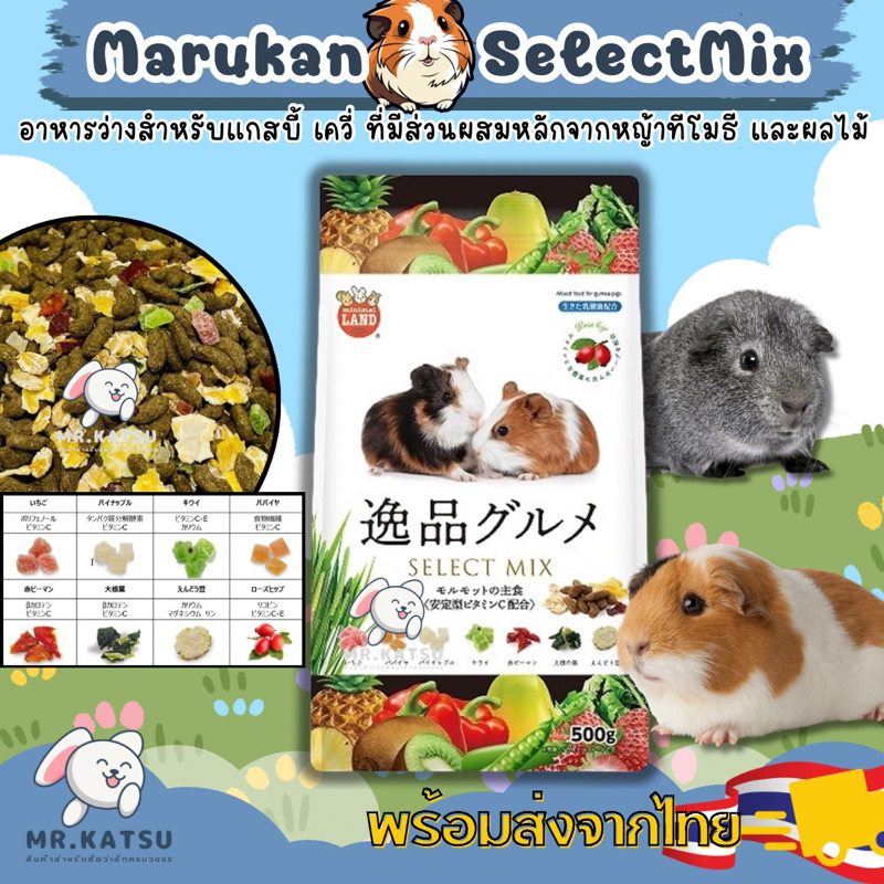 Marukan Select Mix อาหารสำหรับหนูแกสบี้ มารุคัง วิตามินซีสูง ขนาด 500 กรัม