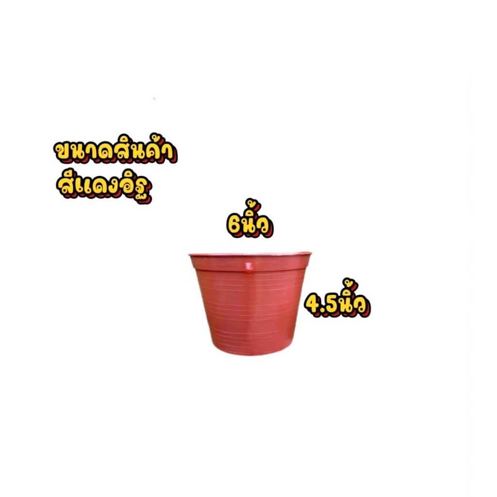 [กระถางราคาถูก] พร้อมส่ง กระถางต้นไม้พลาสติกสีดำ 4 นิ้ว 5.5 นิ้ว 6 นิ้ว 8 นิ้ว 10 นิ้ว - รูปที่ 4