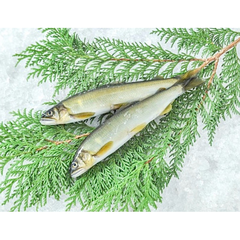 110G-130G/PACK ปลาไข่อายุ(ญี่ปุ่น) 子持ち鮎 FROZEN MOTHER SWEETFISH (AYU)