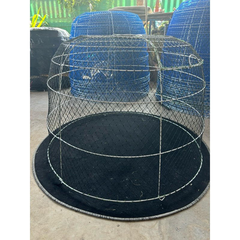 รูปภาพ 3