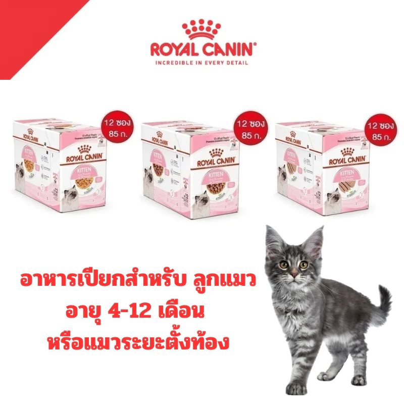 [ 1โหล ] Royal Canin อาหารแมวชนิด เปียก KITTEN จำนวน 1 โหล [เลือกชนิดเนื้อสัมผัสได้]