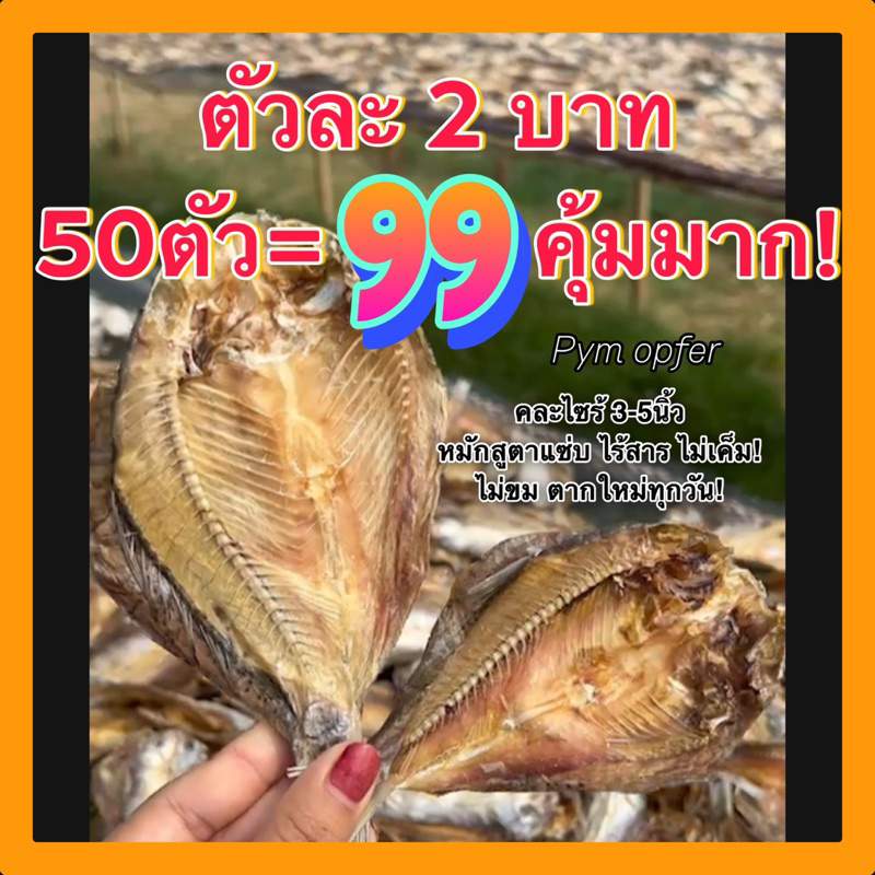 ตัวละ2บาท (สั่ง50ตัว+พร้อมส่ง)‼️ปลาแห้งขาวสร้อยหมักตากแห้ง ขนาดตัว2-4นิ้วคละไซร้ จากชาวเขื่อนลำปาว ไร้สาร ไม่ขม ไม่เค็ม