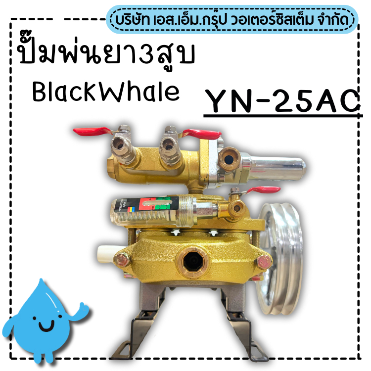ปั๊มพ่นยา3สูบBlackWhale รุ่น YN-25AC ขนาด 3/4" ออโต้ ลูกสูบเซรามิค