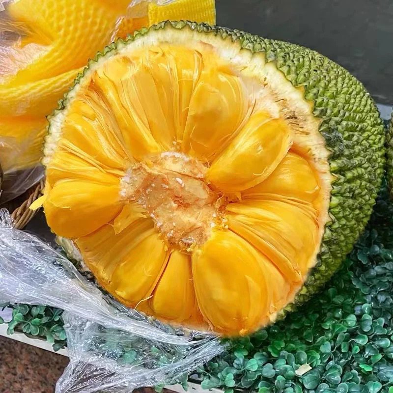 ต้นขนุนคิงหยานเหลียง ขนุนไร้ยางจากจีน การันตีความอร่อย