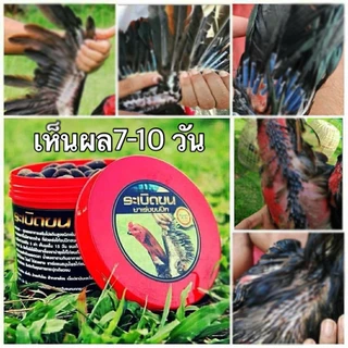 ระเบิดขนไก่ ไก่ถ่ายขน เร่งขนไก่ อาหารไก่ เร่งขนปีก ขนอก ขนหาง 200 กรัม