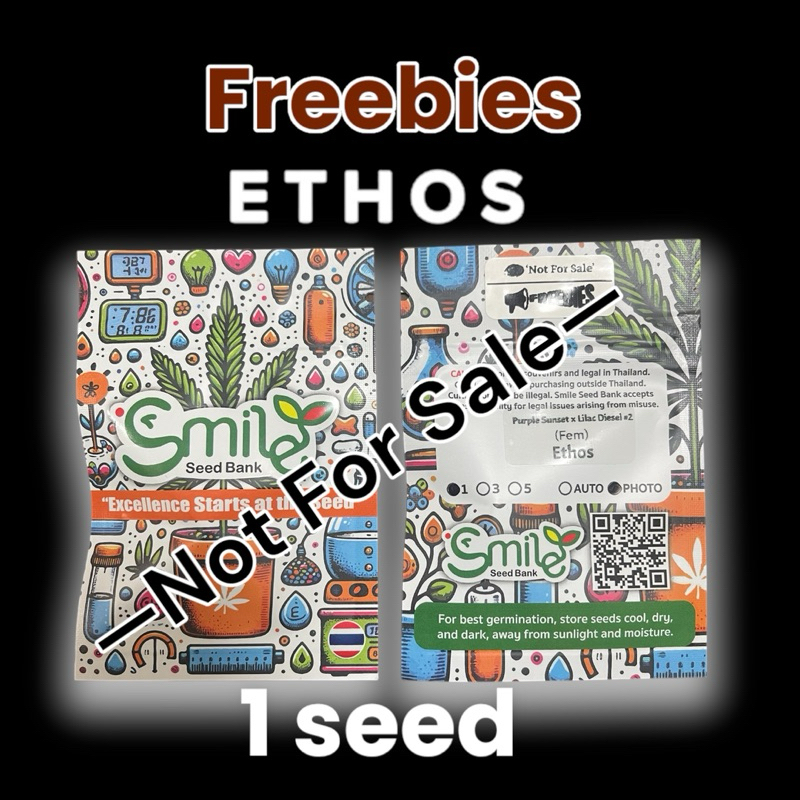 เมล็ดกัญชา Purple Sunset x Lilac Diesel #22 (Unreleased) Not For Sale - Ethos