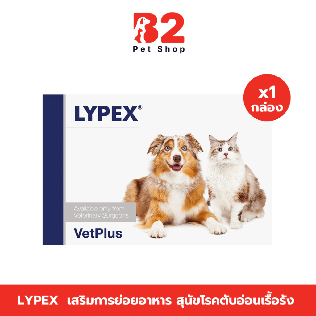 Lypex ไลเป็กซ์ เสริมการย่อยอาหารสำหรับสุนัขและแมวที่เป็นโรคตับอ่อนเรื้อรัง 3 เดือนขึ้นไป