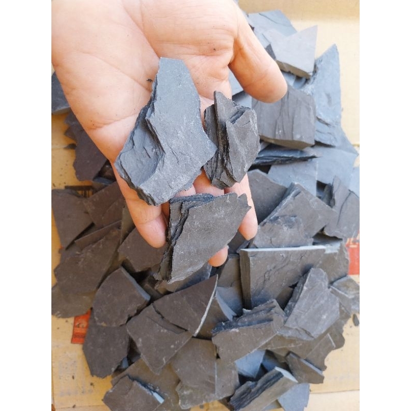 หินกาบจัดสวนถาดตกแต่งตู้ปลาราคา2กิโล60บาทดำล้วน