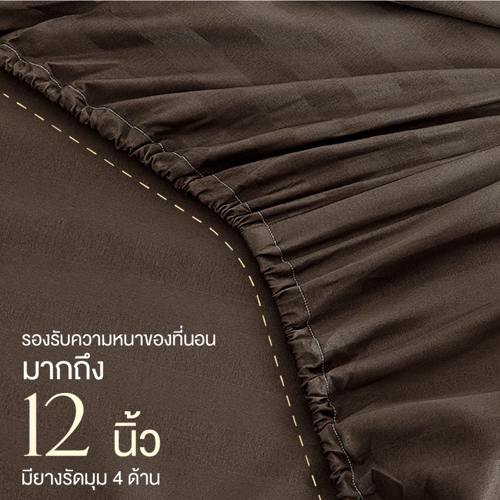 ibed ชุดผ้าปูที่นอนทอลายครบเซ็ท Softex Satin (ทอลายริ้ว) Brown Sugar - STRIPED COLLECTION thumbnail 6