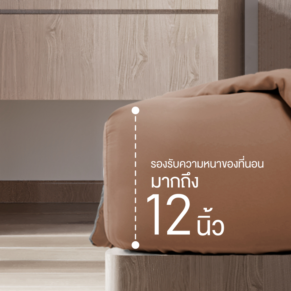 ibed ชุดผ้าปูที่นอนครบเซ็ท Softex - PANTONE COLLECTION 2024 (Pinecone) - 3.5 ฟุต,5 ฟุต,6 ฟุต - รูปที่ 3