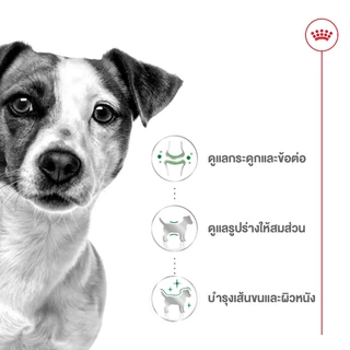[หมดอายุ 8/2027] ROYAL CANIN MINI ADULT 8KG สุนัขโตพันธุ์เล็ก