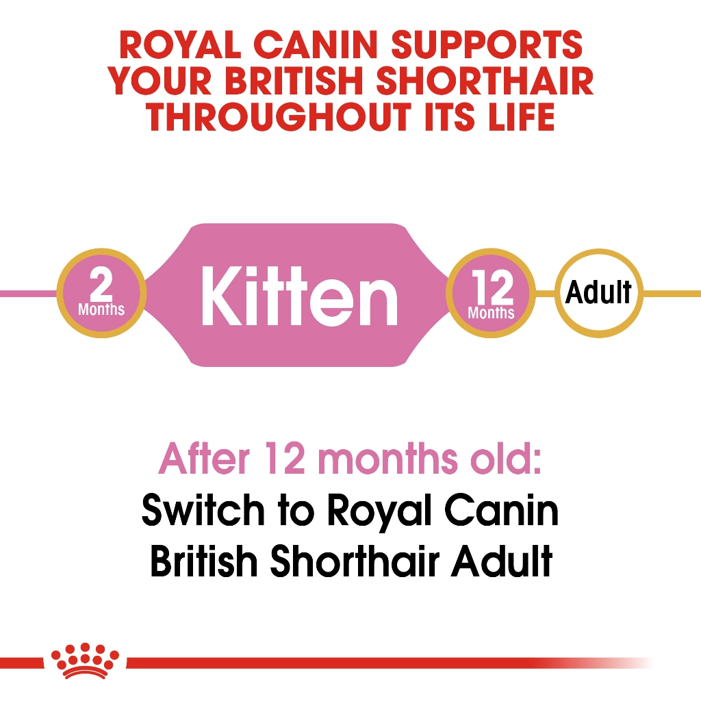 Royal Canin British Shorthair Kitten 2 kg. อาหารชนิดเม็ดสำหรับลูกแมวพันธุ์บริติช ชอร์ตแฮร์ อายุ 4-12 เดือน - รูปที่ 4