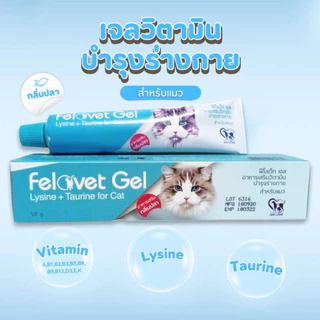 Felovet gel อาหารเสริมวิตามินบำรุงร่างกาย ฟื้นฟูร่างกาย กระตุ้นให้อยากอาหาร สำหรับแมว ขนาด 50g.