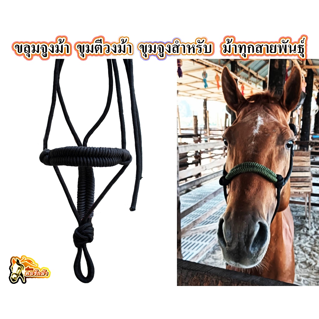 ขลุมจูงม้า ขลุมม้า สายจูงสัตว์เลี้ยง อุปกรณ์สำหรับคนเลี้ยงม้า