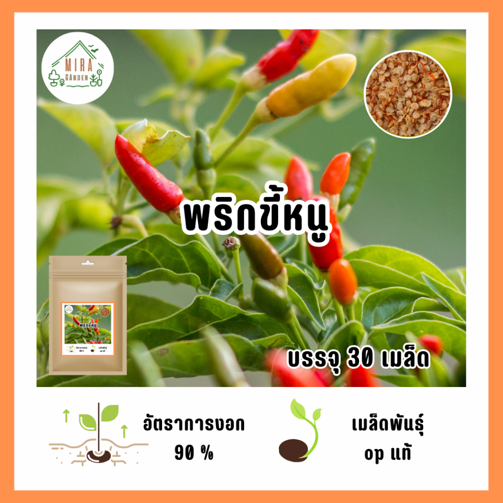 ราคาถูกที่สุด พริกขี้หนู 50 เมล็ด