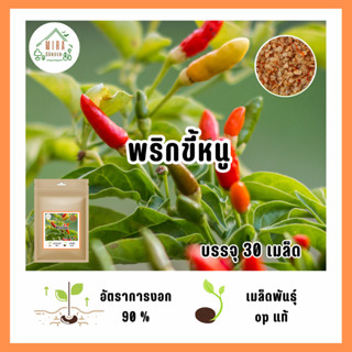 ราคาถูกที่สุด พริกขี้หนู 50 เมล็ด