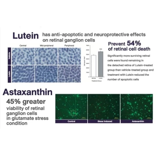 Ocluvita อาหารเสริมเพื่อบำรุงสายตาและดวงตา สำหรับสุนัขและแมว 30 เม็ด