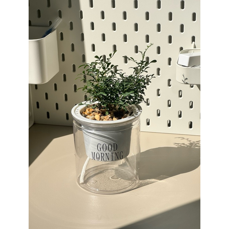 มุมมอง 3