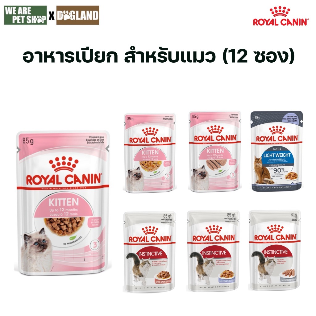 Royal Canin Cat อาหารแมว แบบเปียก (12 ซอง)