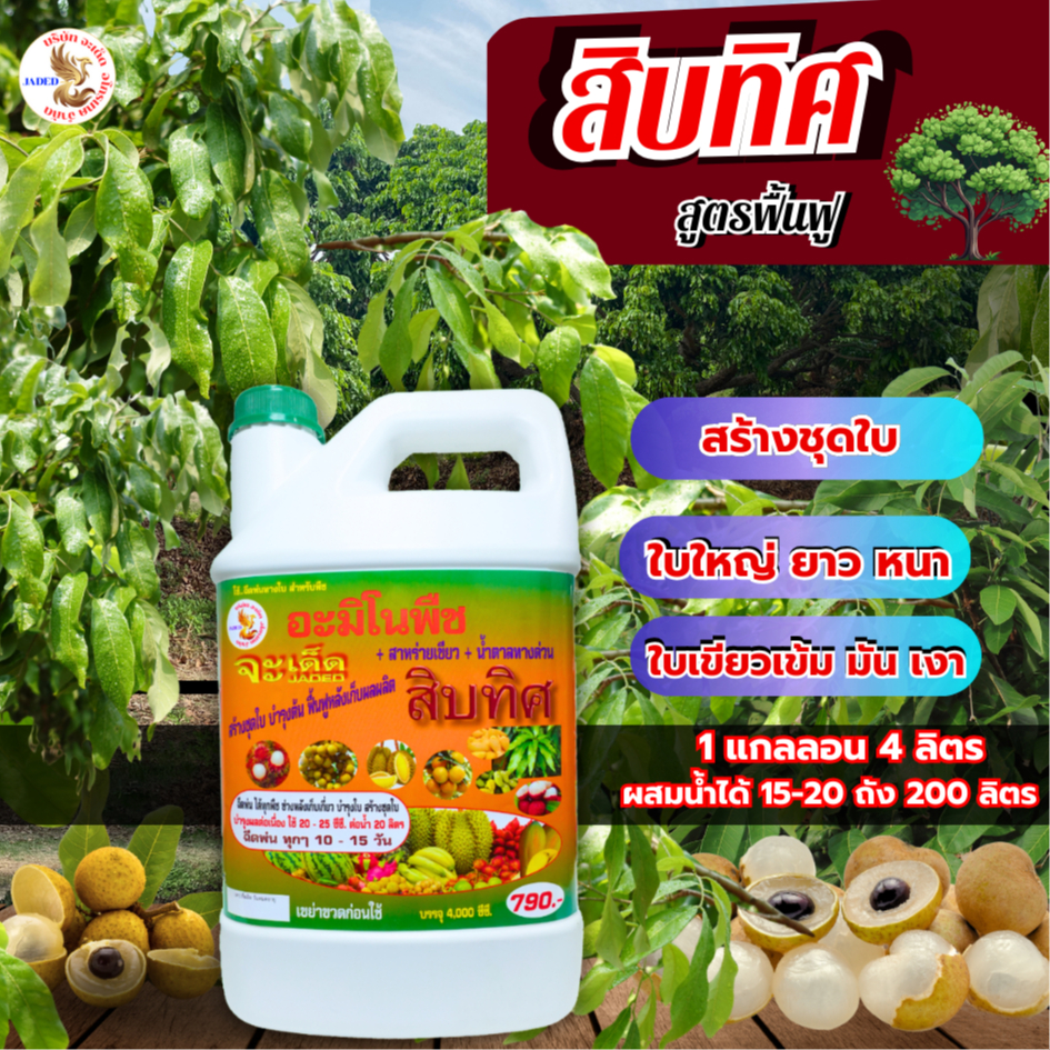 สิบทิศ อาหารพืช สูตร 2 พลังไคโตซาน อะมิโน นํ้าตาลทางด่วน สาหร่ายทะเล อาหารพืช ปุ๋ย ฮอร์โมนพืช