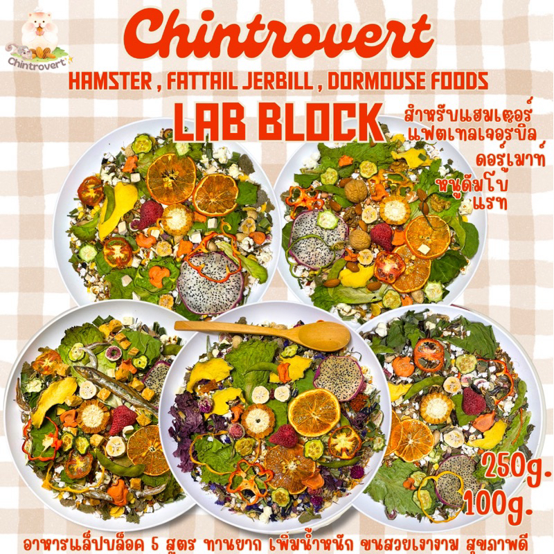 Chintrovert ✨| (ส่งภายใน2-5วัน) Lab Block แล็ปบล็อคอาหารแฮมเตอร์ทุกสายพันธุ์ ดอร์เมาท์ ดัมโบแรท แรท แฟตเทล