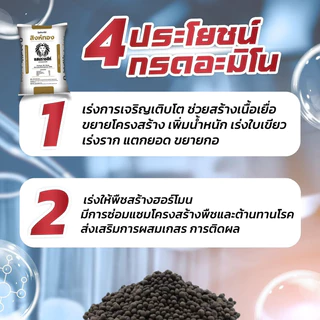 [[แบ่งขาย 950 กรัม]] ปุ๋ยอินทรีย์สิงห์ทอง แสนราชสีห์ ปุ๋ยบำรุงดิน เร่งโต เพิ่มใบเขียว เสริมแร่ธาตุทำให้ดินร่วนซุย