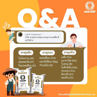 [[แบ่งขาย 950 กรัม]] ปุ๋ยอินทรีย์สิงห์ทอง แสนราชสีห์ ปุ๋ยบำรุงดิน เร่งโต เพิ่มใบเขียว เสริมแร่ธาตุทำให้ดินร่วนซุย