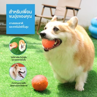 MOMOVIDA ของเล่นสุนัข ลูกบอลสุนัข ของเล่นขัดฟันสุนัข ลูกบอลยางสำหรับหมา ของเล่นมีเสียง ทนต่อการกัดแทะ รุ่น DT-15/DT-15L