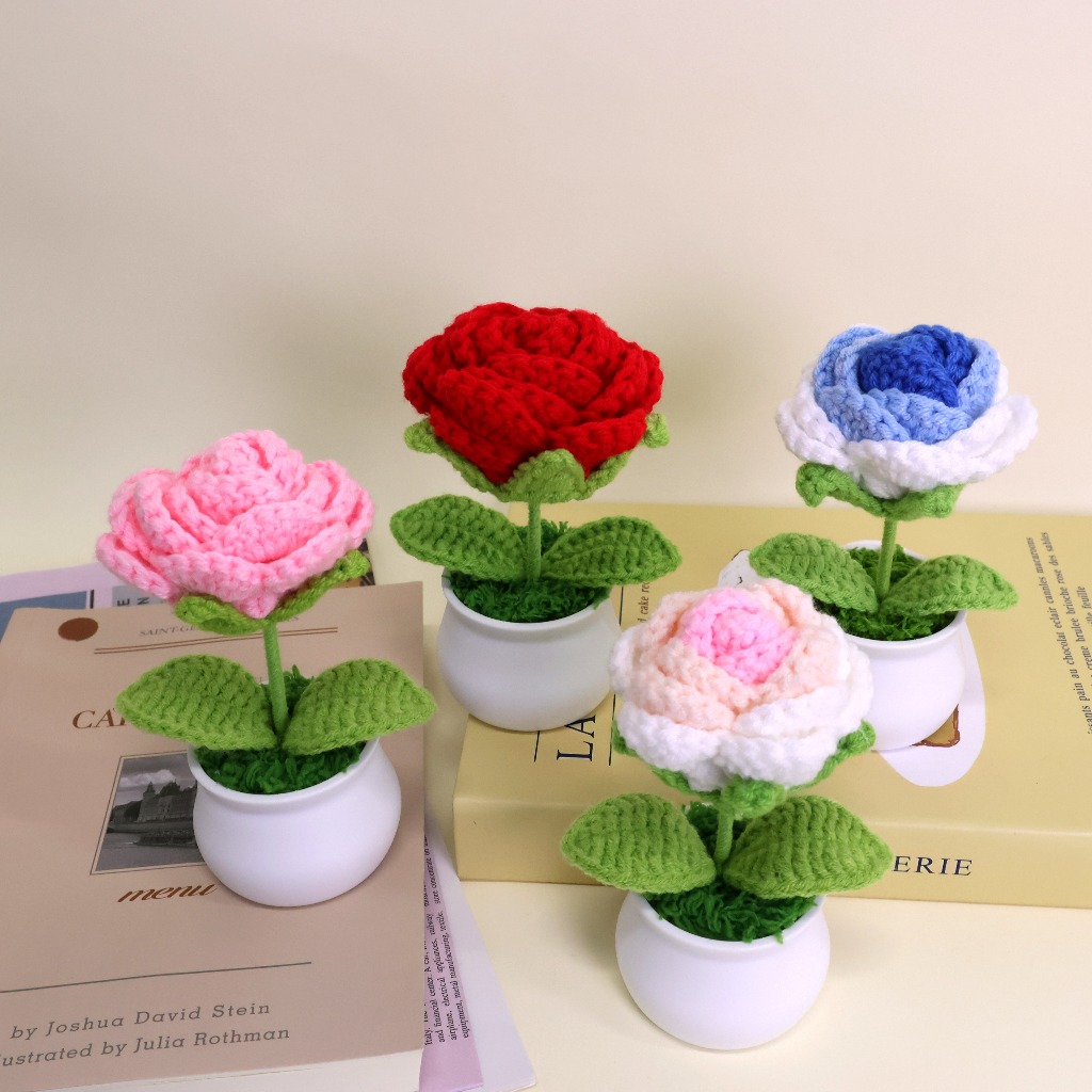 รูปภาพ 7