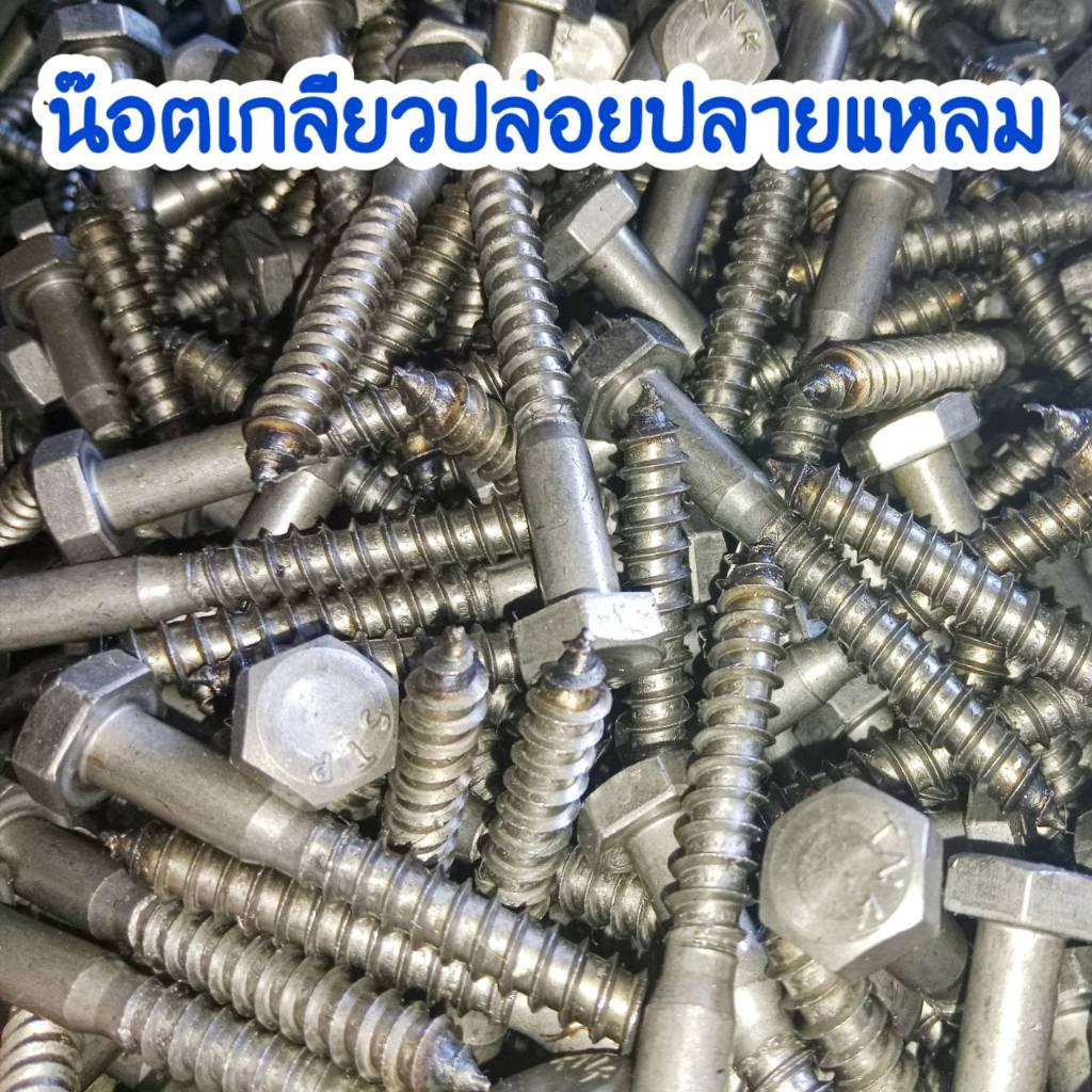 น๊อตเกลียวปล่อยปลายแหลม หัวหกเหลี่ยม ขนาด 3หุน เบอร์17 สำหรับยิงเข้าเหล็กฉาก