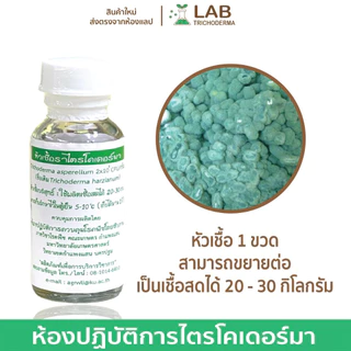 【พร้อมส่ง】หัวเชื้อราไตรโคเดอร์มา(20กรัม) ป้องกันเชื้อราโรคพืช ม.เกษตร