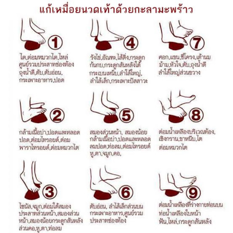 (เล็ก) กะลานวดเท้า กะลานวดเพื่อสุขภาพ คลายกล้ามเนื้อขา คอ เท้า หลัง - รูปที่ 6