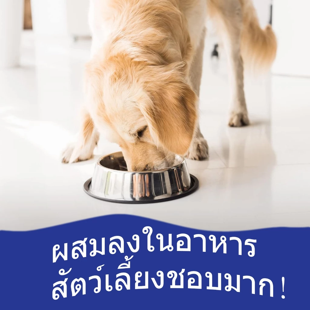Popoo Omega 3 Wild Fish Oil for Dogs and Cats Supplement พรีเมี่ยมน้ำมันปลาสำหรับสัตว์เลี้ยง บำรุงขน ผิวหนังและข้อต่อ thumbnail 8
