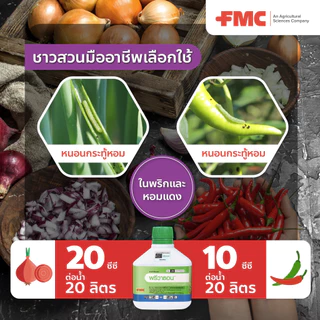 💥ล็อตใหม่💥 พรีวาธอน 1 ลิตร (ของแท้)( คลอแรนทรานิลิโพรล ) กำจัดหนอนกระทู้ หนอนกอ ม้วนใบ หนอนหัวดำ