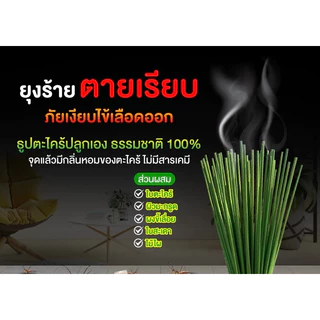 ธูปสมุนไพรไล่ยุง สมุนไพร100% ธูปตะไคร้ไล่ยุง กลิ่นตะไคร้