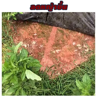 geotextile แผ่นปูดิน แผ่นปูหิน สีดำ สีขาว ใยสังเคราะห์แบบ Non Woven - สำหรับงานจัดสวน แผ่นรองจัดสวนปู