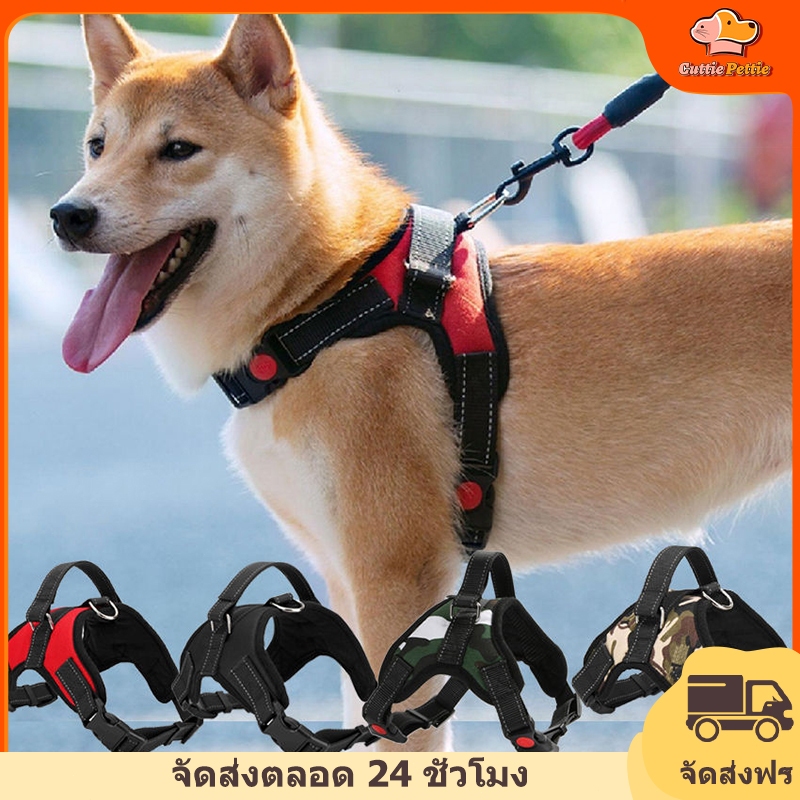 Cuttie Pettie  เสื้อรัดอกสุนัข (เฉพาะเสื้อ) หมา สัตว์เลี้ยง ราคาถูก พร้อมส่ง