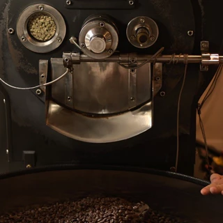 VECTOR : เมล็ดกาแฟคั่วกลาง (อราบิก้า 100% จากโบโลเวน เกรดพรีเมี่ยม) 250 กรัม