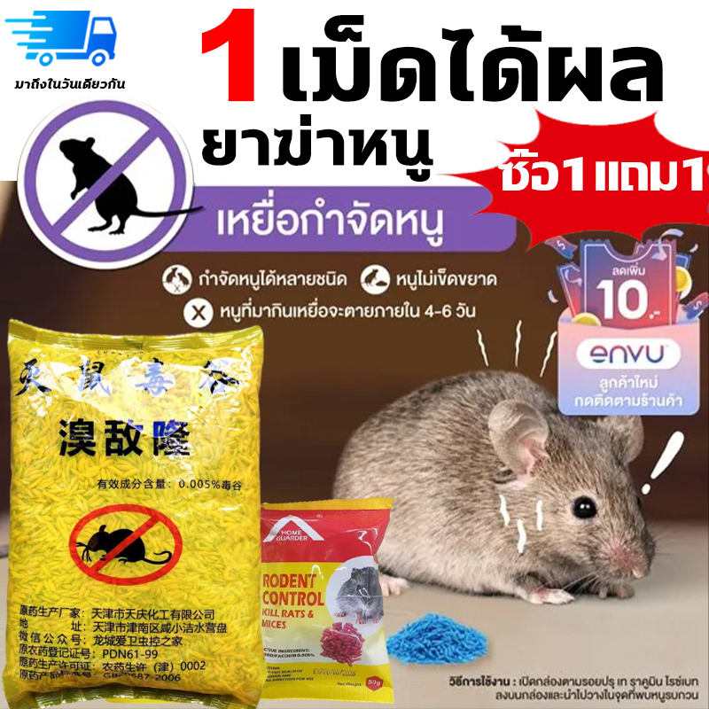 ☠️1เม็ดได้ผลิ🐀 ยาเบื่อ ยาฆ่าหนู หนู กำจัดหนู ยาไล่หนู ไม่มีหนูทั้งปี ยากำจัดหนู เหยื่อกำจัดหนู ไล่หนู ยาเบื่อหนูแห้ง