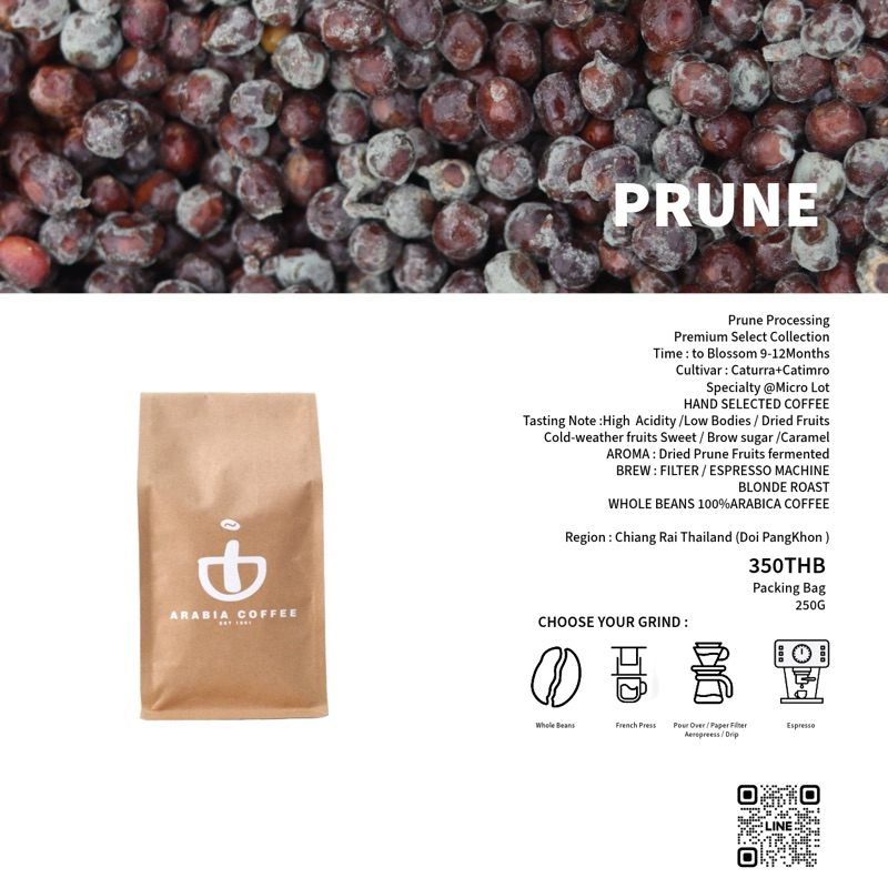 PRUNE เมล็ดกาแฟจากดอยปางขอน100% arabicasingleorigins 250 G.คั่วอ่อนติดเปรี้ยวมีกลิ่นเฉพาะตัว