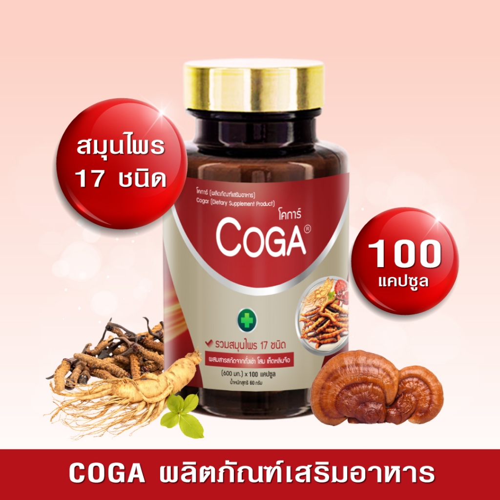 Coga 1กระปุก(100เม็ด/กป.) ถั่งเช่าทิเบต อาหารเสริมวิตามินรวม ถั่งเช่า โสม อาหารเสริมสร้างภูมิคุ้มกัน