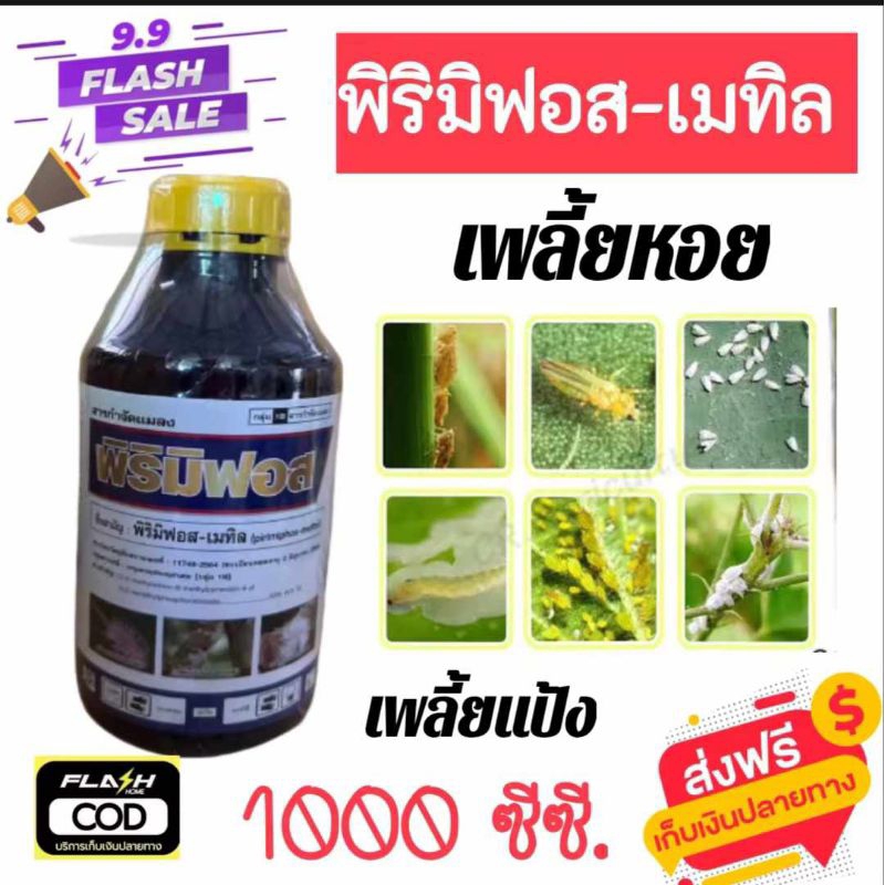 พิริมิฟอส พิริมิฟอสเมทิล50% กำจัดเพลี้ยหอย เพลี้ยแป้ง แมลงปากดูดอยู่หมัด ตายแห้ง ตายร่อน