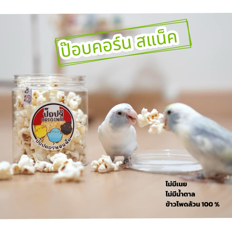 ป๊อปคอร์น Popcorn ป๊อปสแน็ค สำหรับนกและสัตว์ฟันแทะ