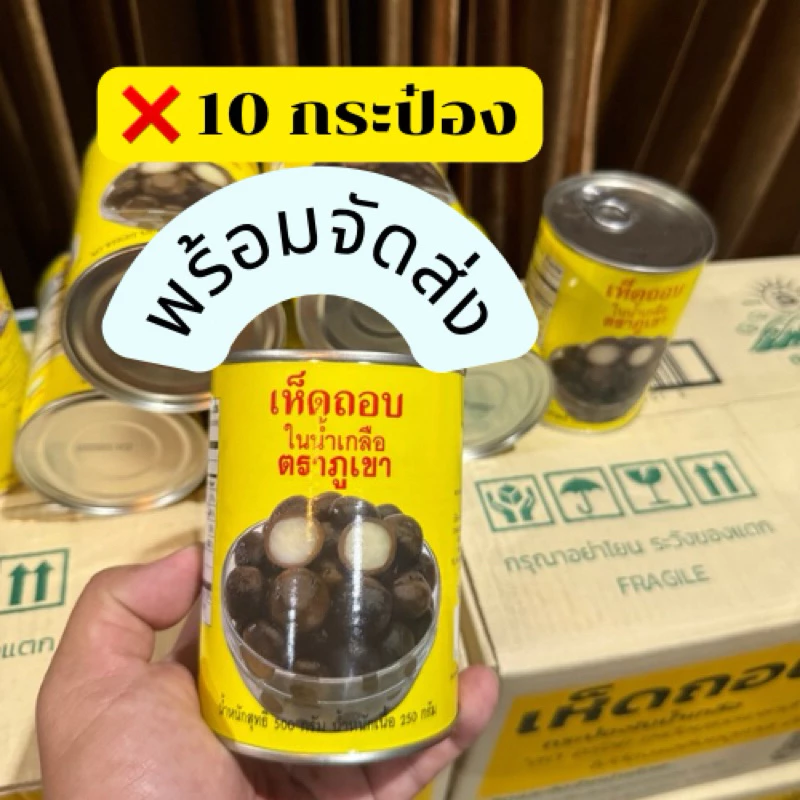 🍄‍🟫🍄‍🟫เหมา 10 กระป๋อง 🍄‍🟫เห็ดถอบเห็ดเผาะกระป๋อง ตราภูเขา ยก 10 กระป๋อง พร้อมส่ง ✅✅