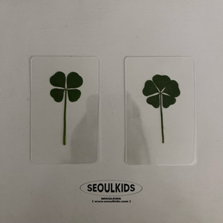 [ พร้อมส่ง ]♡ྀི  ใบโคลเวอร์เคลือบการ์ดใบจริงนำเข้าจากเกาหลี🍀