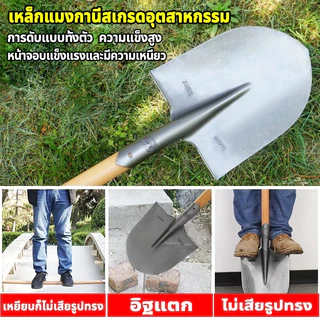 ใหญ่ปลายแหลม พลั่ว หัวพลั่ว พลั่วตักทราย 2แบบ (ปลายแหลม ปลายตัด) ใช้งานได้หลากหลาย แข็งแรง ทนใช้ การออกแบบเหยียบ