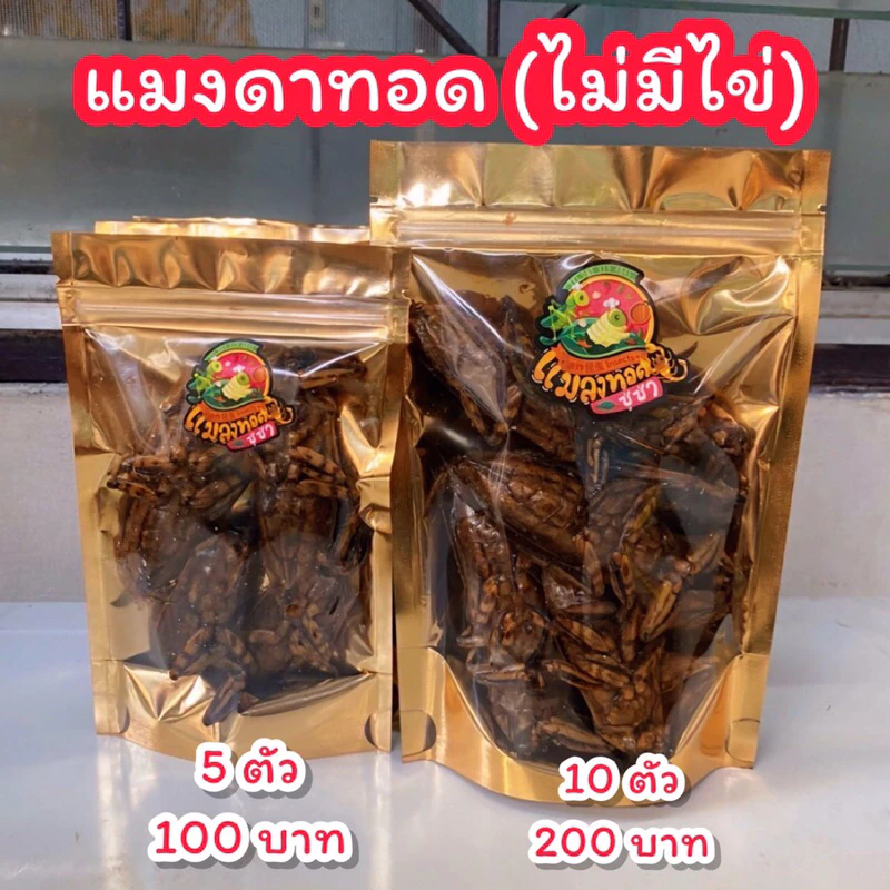 แมงดา(ไม่มีไข่) แมลงทอดซู่ซ่า