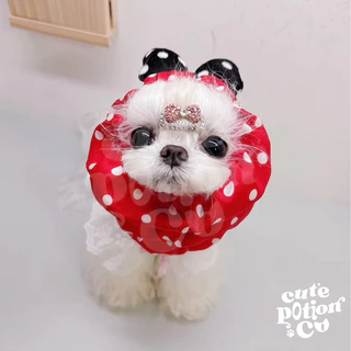 (พร้อมส่ง🇹🇭) หมวกคลุมขนสุนัข กันเปื้อนสุนัข dog snoods