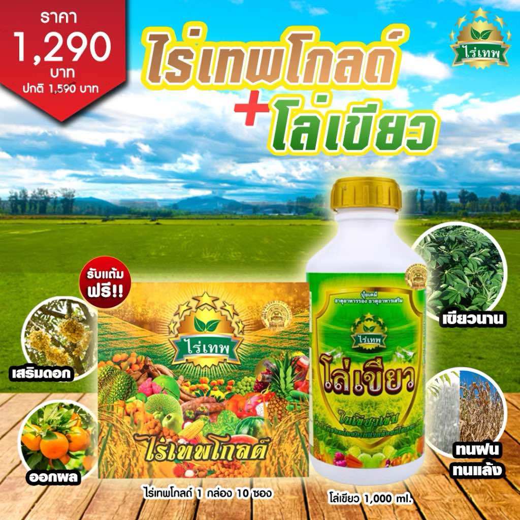 ไร่เทพโกลด์ 1 กล่อง (10 ซอง) + โล่เขียว 1 ขวด (1ลิตร) เพิ่มพลังประสิทธิภาพพืชเร่งด่วน